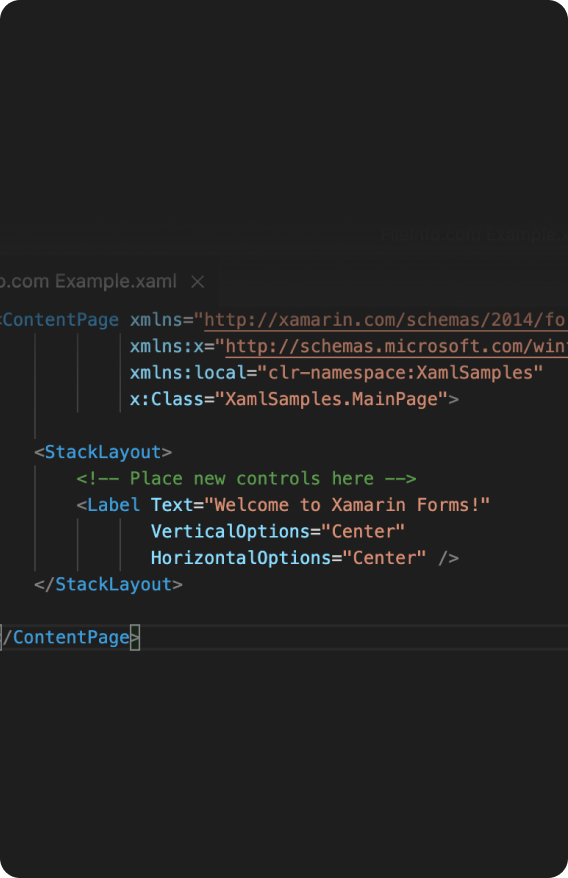 XAML (eXtensible Application Markup Language)